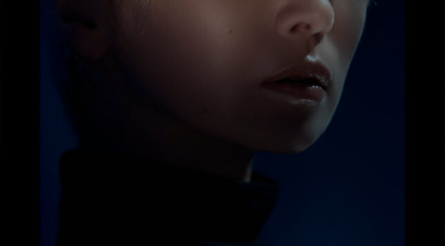 椎名林檎 – 白日のもと